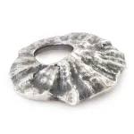 tagbe-10287