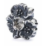 trollbeads/2015/20150102-20